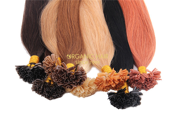 Wholesale U tip pre bonded hair extensions